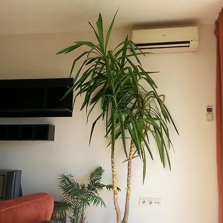 Apartamento For Friends